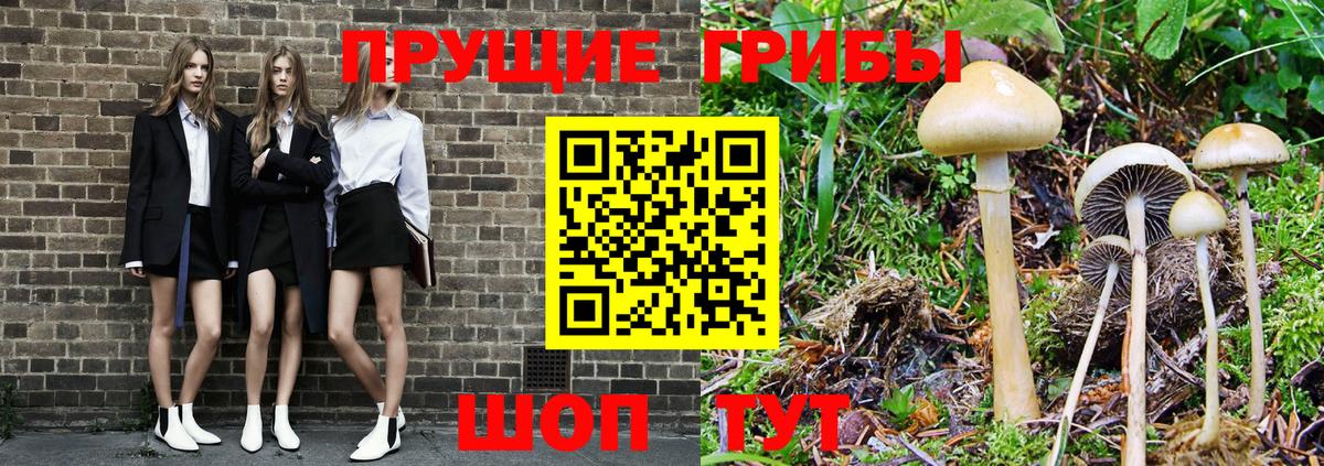 Псилоцибиновые грибы мухоморы  Псилоцибиновые грибы мухоморы  Вход с VPN  Ишим 