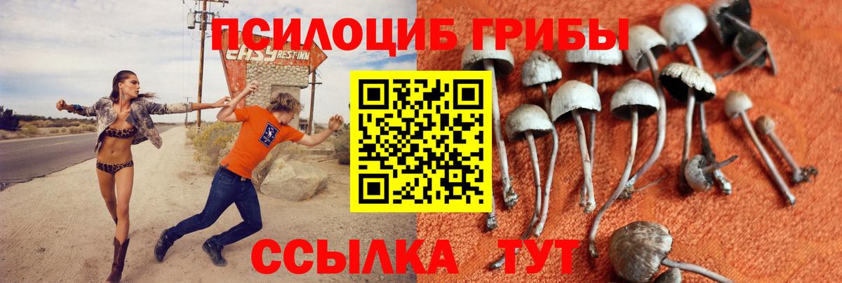 Псилоцибиновые грибы Magic Shrooms Ишим